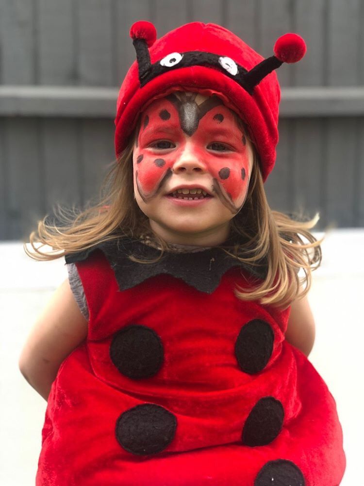 Face paint ladybug design